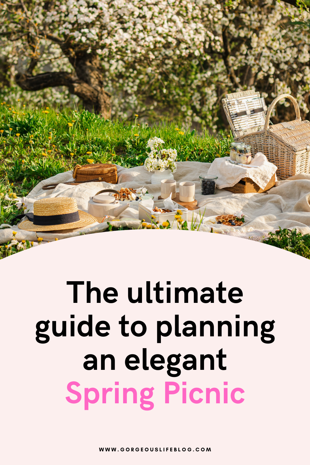 elegant picnic. How to plan a picnic feminine energy