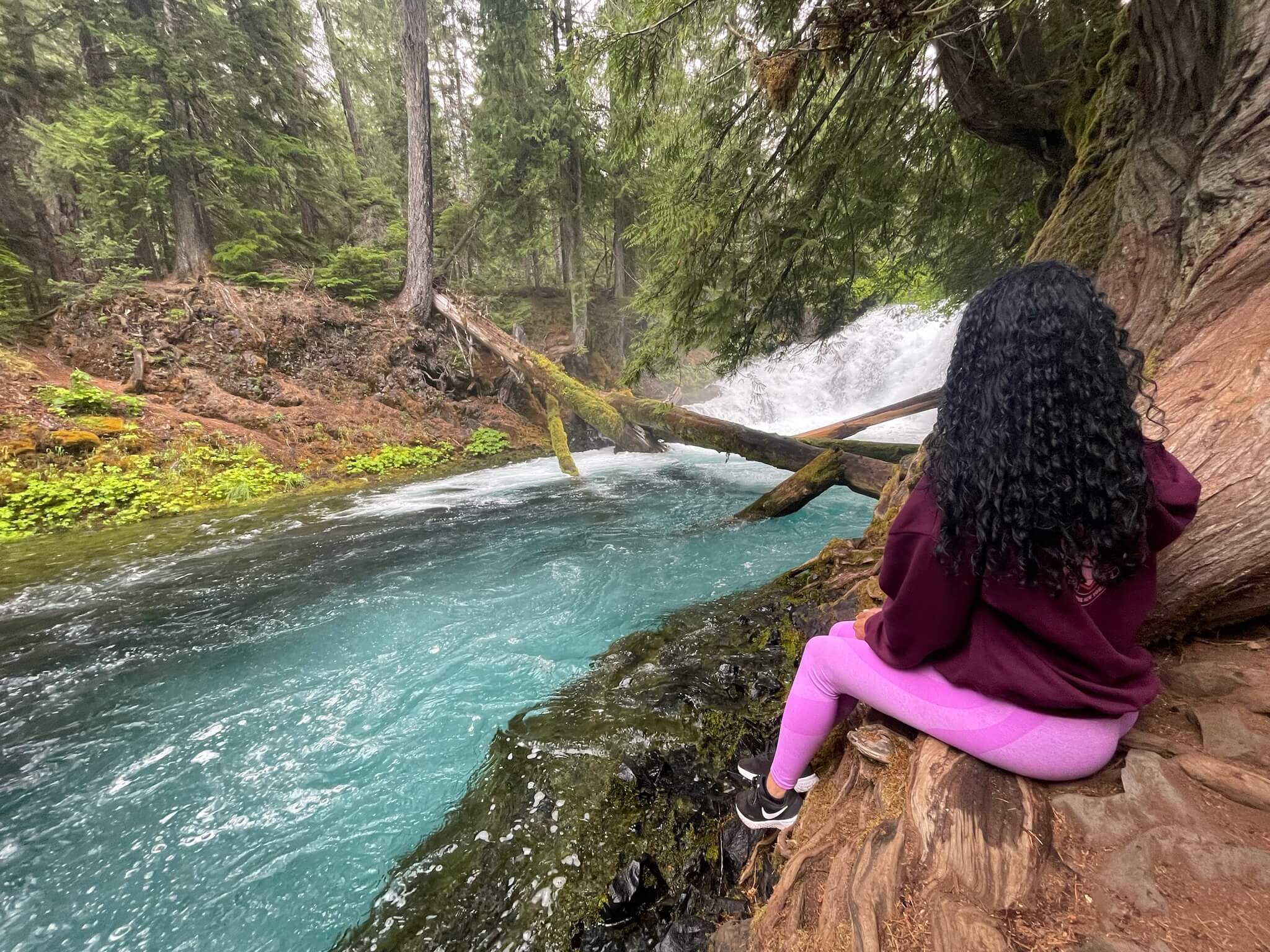 3 days in Oregon