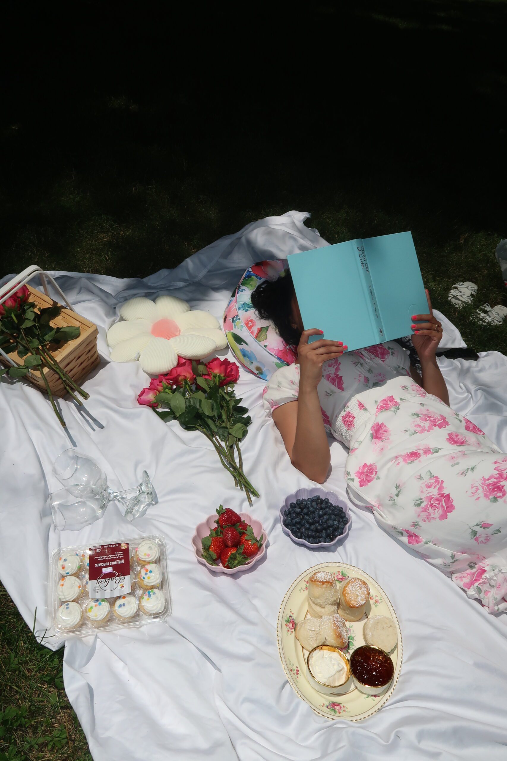 How to plan a beautiful picnic