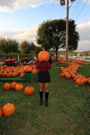 A very busy (but romantic) fall